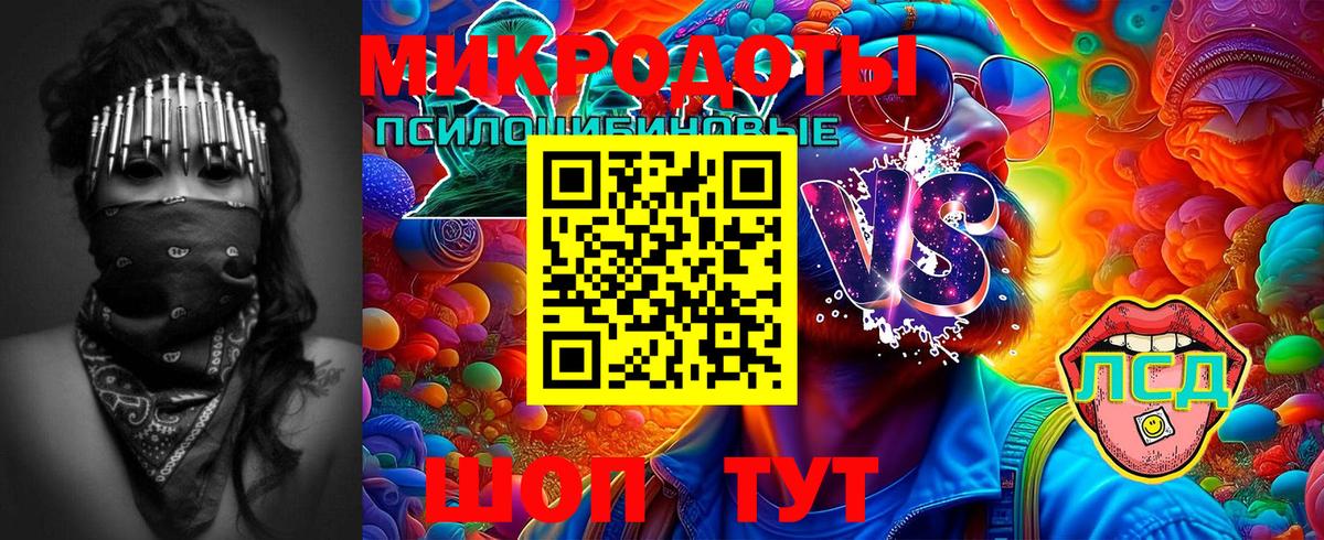 Ачинск  Псилоцибиновые грибы мицелий  Вход с VPN  купить закладку  Псилоцибиновые грибы Psilocybe 